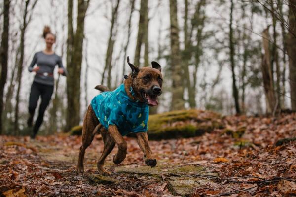 Ruffwear Climate Changer Fleece Jacket Glacier Gr. XS